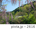伊豆吉奈温泉　「芳泉荘」