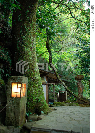 伊豆吉奈温泉 「東府屋」 伊豆吉奈温泉 「東府屋」
