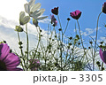 空へ向かえ