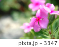 優しい声
