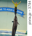 クジラとジャンプ！