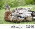 綺麗に撮ってね、カメラマンさん