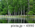 南丘森林公園
