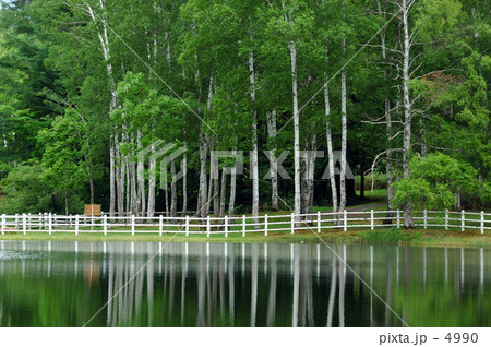 南丘森林公園