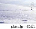 白の風景