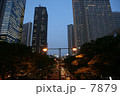 夕景
