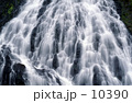 素材ナンバー 10390 : 「白糸」
