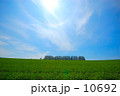 夏の丘