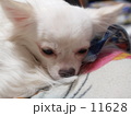 おねむです