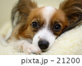 寝起き