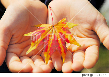 A leaf in a hand