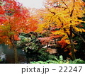 野毛山