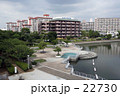 水辺の風景