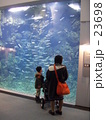 北海道千歳サケのふるさと館