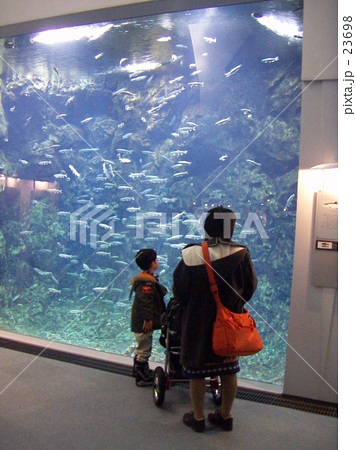 北海道千歳サケのふるさと館 北海道千歳サケのふるさと館