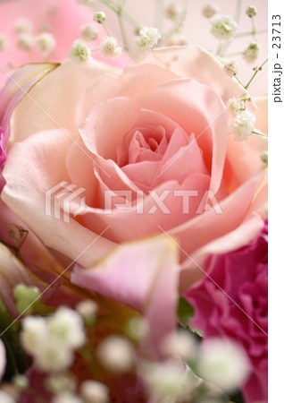 バラの花束 バラの花束