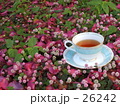 花とカップ　17