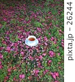 花とカップ　19
