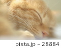 至福の時