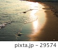 波打ち際