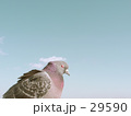 考え事