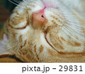 安眠