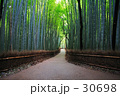 素材ナンバー 30698 : 「静寂」