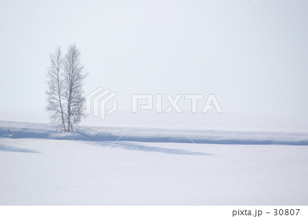 White Stage