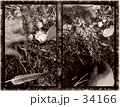 創作の手.Room of Life.組み写真