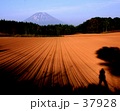 ニセコより羊蹄山を望む