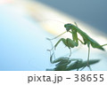 風にのって