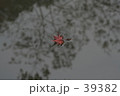 ひとひら