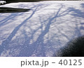 陰