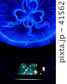 ｆ0010