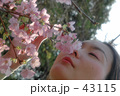 春コンテンツ