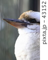 ｆ0058