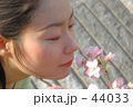 サクラのかほり