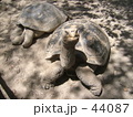 なんですか？