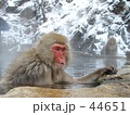 ニヤッ