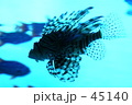 ｆ0138