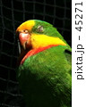 ｆ0142