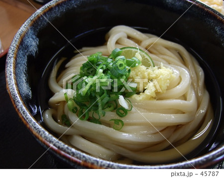 讃岐うどん 讃岐うどん