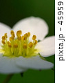 ｆ0171