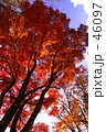 ｆ0174