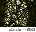 ヒカリノセカイ