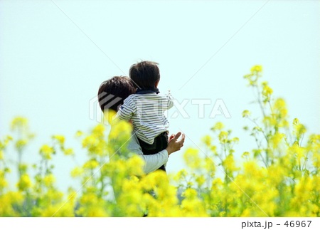 菜の花畑の父と子