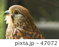 見つめる先に