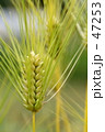 f0183