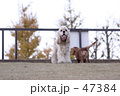 Portraits -公園の風景