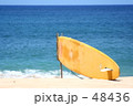 サーフボード